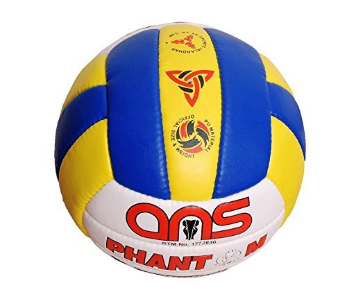 ANS PU Hand Stitched Volleyball