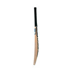 DC 200i Cricket Bat