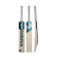 DC 650i Cricket Bat