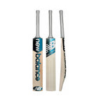 DC 650i Cricket Bat