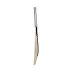 DC 650i Cricket Bat