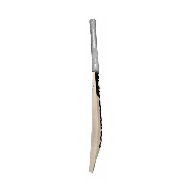 DC 650i Cricket Bat