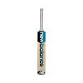 DC 900i PRO Cricket Bat