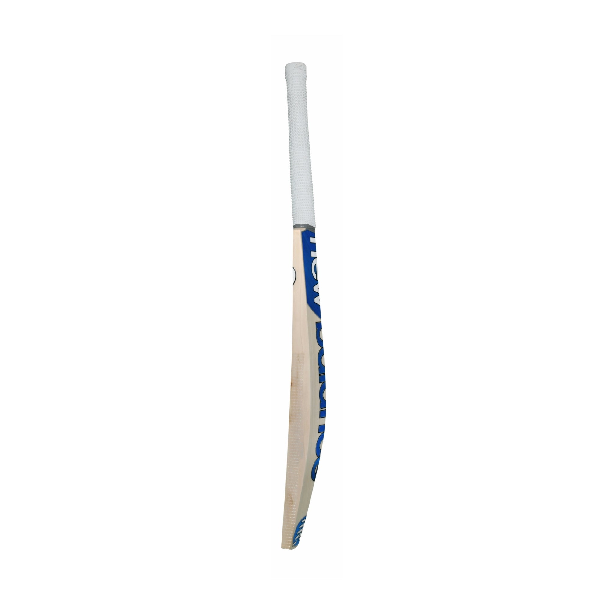 TC 650i Cricket Bat